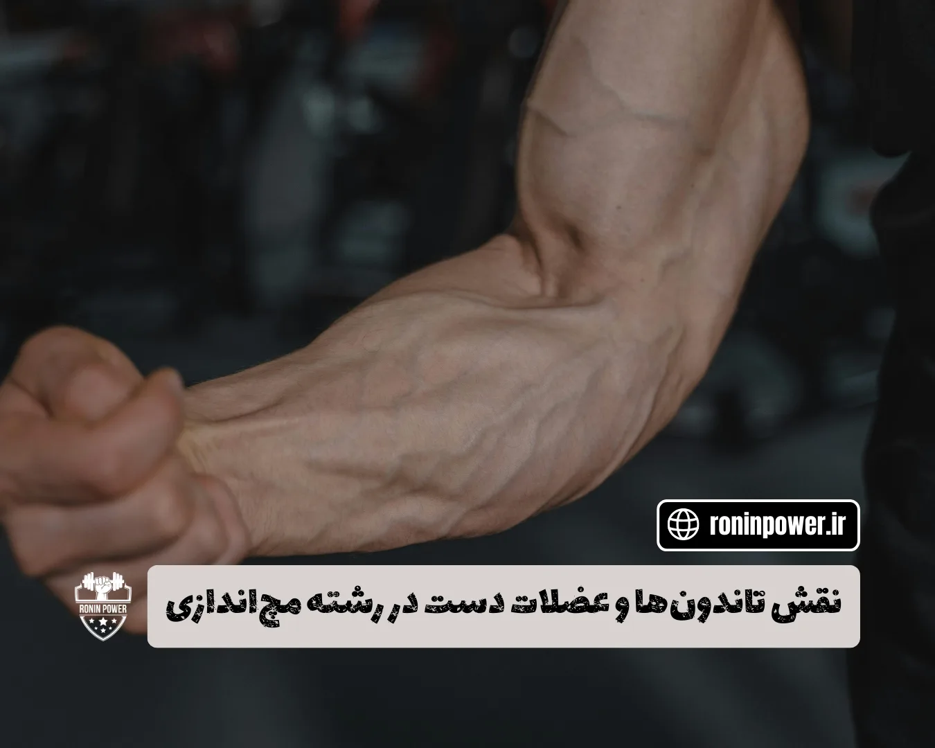 رشته مچ اندازی